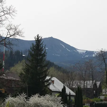 Teraz * カルパッチ