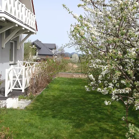 Teraz カルパッチ