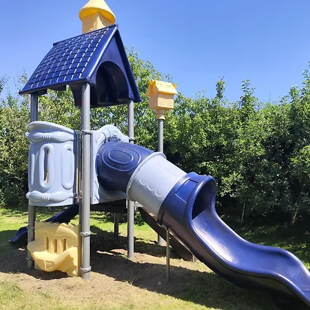 Teraz * カルパッチ